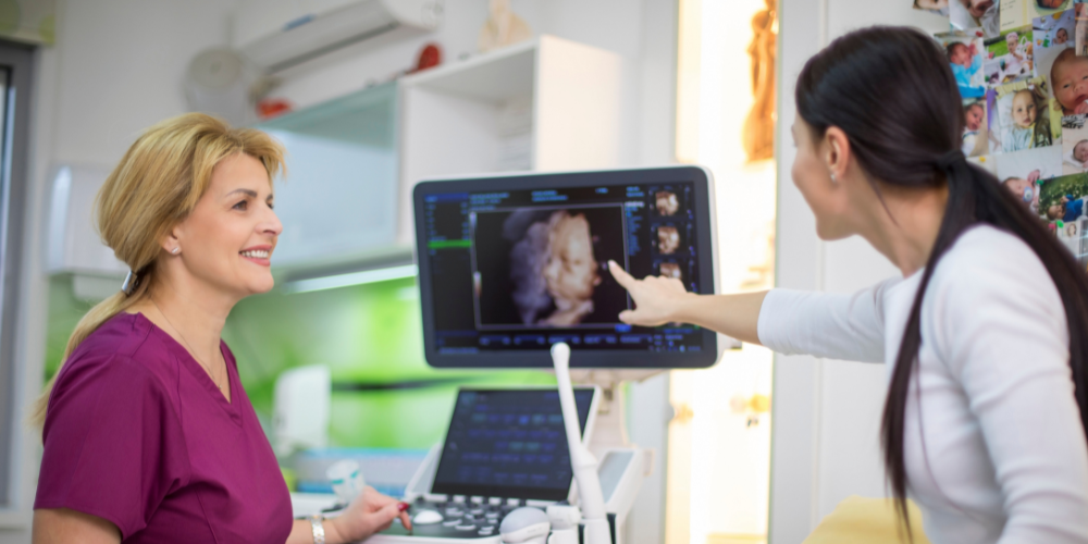 Diversification Strategies for Sustained Growth in the 3D/4D Ultrasound Business