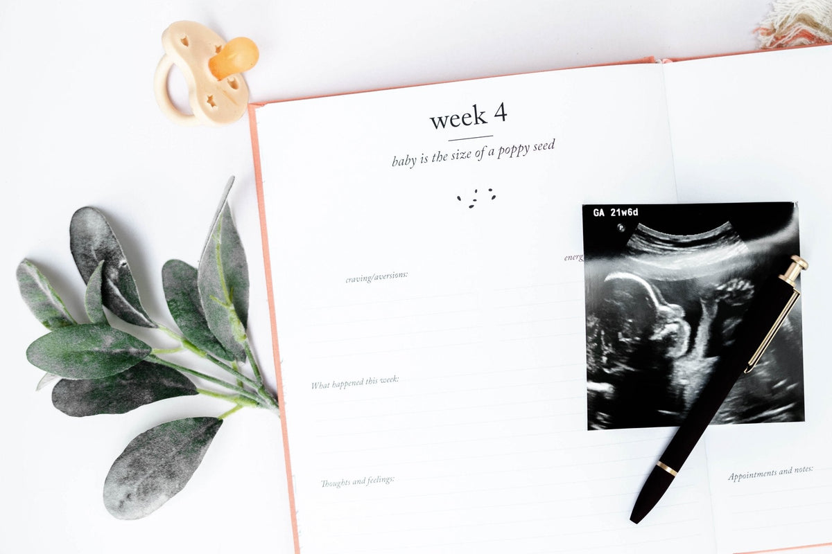 Pregnancy Journal