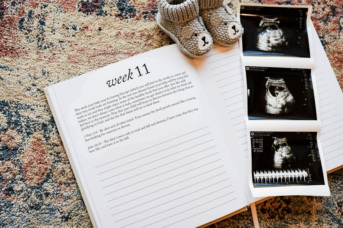 Dear Baby: Pregnancy Prayer Journal